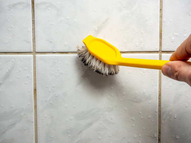 Best Mold Testing  in Ephraim, UT